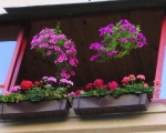 Балконные ящики для цветов-7-4