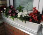 Балконные ящики для цветов-7-7