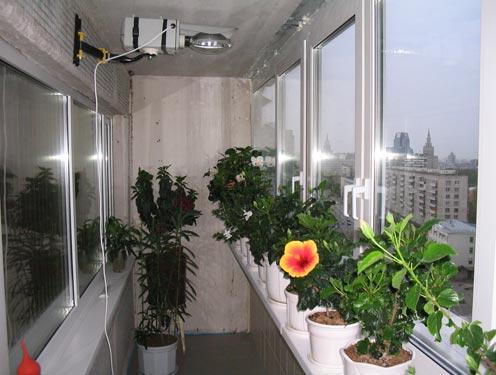 Летний и зимний сад на балконе – технические моменты и идеи оформления. Оформление зимнего сада в квартире – зеленый сад на балконе круглый год