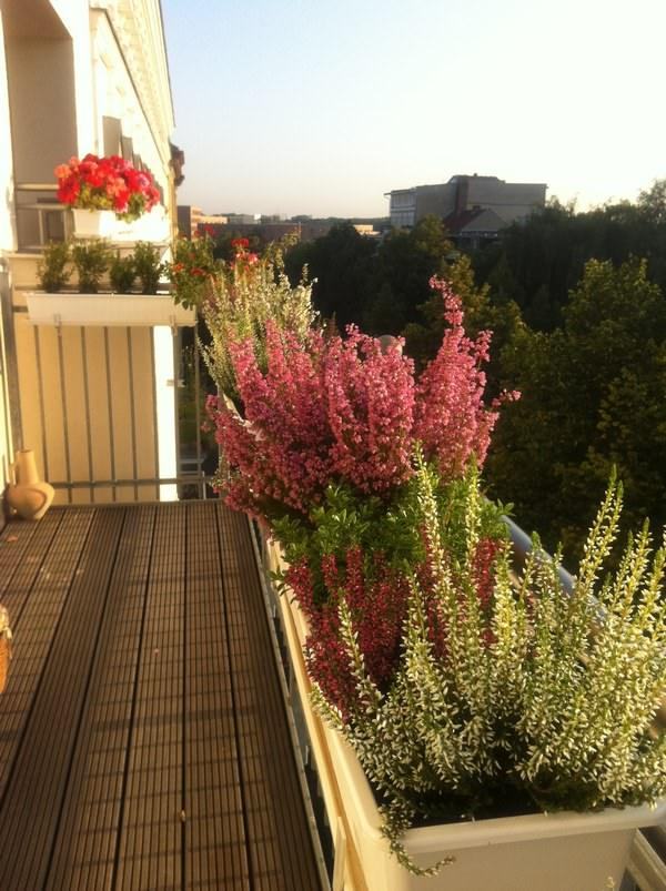 цветущий балкон своими руками