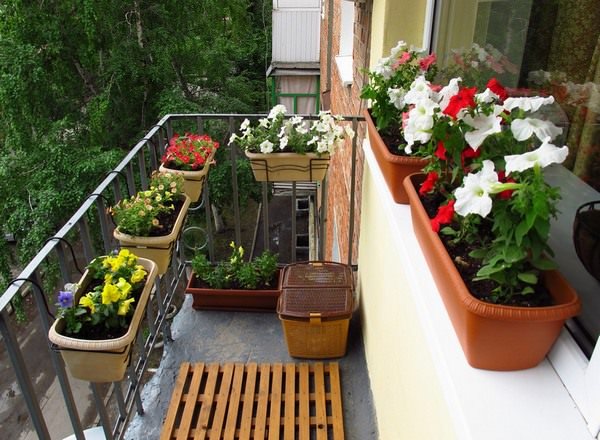Создаем оригинальные балконные ящики для цветов